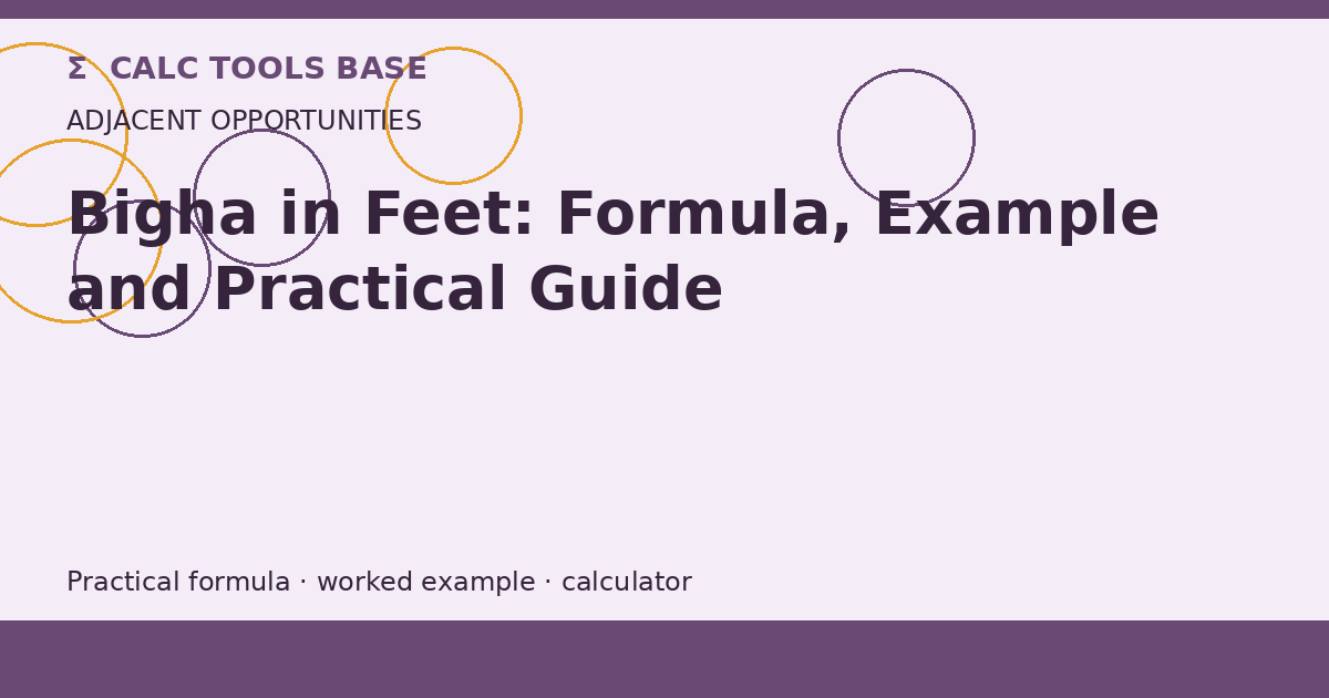 Bigha In Feet