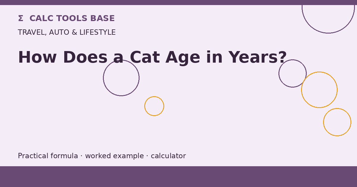 How Does A Cat Age In Years?